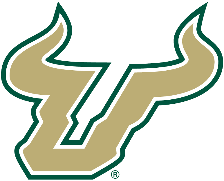 South Florida Bulls 2003-Pres Alternate Logo v2 diy iron on heat transfer
